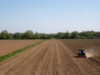 Provincie wil naar 75 procent stikstofreductie Zuidoost-Friesland