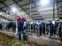 Boeren Oostelijk Flevoland willen edelherten achter het hek
