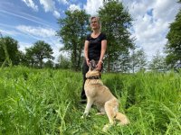 Drenthe breidt gebied uit met beschermingsregeling tegen wolf