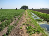 Brabantse boeren essentieel in nationaal park