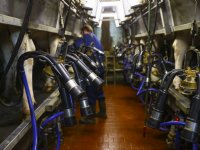 Gezonde bodem geeft nog schoner water
