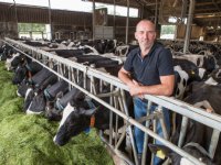 Saldo melkveehouderij hoger dan vorig jaar