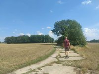 Scholieren maken insectenhotels voor Limburgse boomgaard