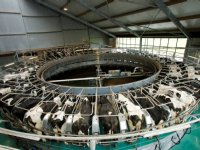 Britse melkproductie kan flink terugvallen door oorlog in Oekraïne