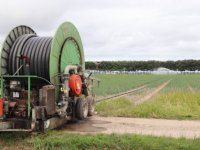 Vlaamse boeren krijgen methaanreducerend voer van overheid