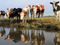 Duitse boerendochter wint zaak om klimaatwet
