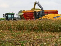 Quinoa verovert Nederland
