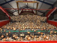 NAK start controle afdekken afvalhopen van aardappelen
