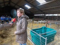 Boeren in Alphen aan den Rijn onderzoeken kansen groene waterstof