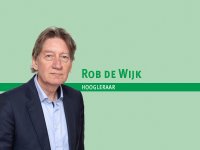 Ganzen in Zuid-Holland niet meer te tellen