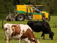 Twintig Limburgse boeren en telers melden schade na wateroverlast