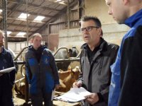 België overweegt ruiming bedrijven varkenspestgebied