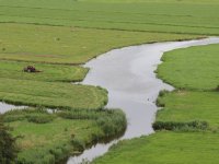 Zuid-Holland wil boeren op kruidenrijk gras
