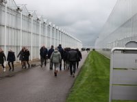 Drenthe steunt test pluimveemestverbrander