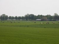 € 29,94 miljoen Brussel Nederlandse boeren