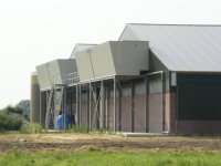 Ierland boort nieuwe markten aan voor afzet van kalveren