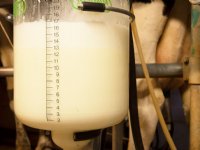 Groen gas optie voor melkvee- en varkenshouder