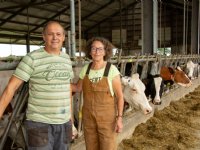 NVWA controleert veehouders extra op schaduw voor iglo\'s