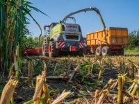 Oekraïense graanexport leidt tot vertrek landbouwminister