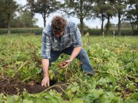 Provincie Drenthe deelt pluim uit aan boeren en dierenarts