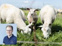 Vlaamse overheid moet buren van onterecht vergund pluimveebedrijf vergoeden