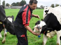 Melkveehouder Van den Berg: \'Stikstofcrisis oplossen met innovaties\'