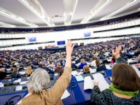 Europarlement eist snel steun melkveehouder