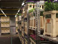 Voerwinstspiegel week 33