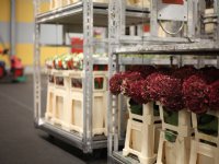 Agrarische partijen op één lijn: alleen LTO praat met Rutte