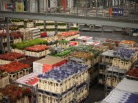 Software helpt telers paprika\'s tellen