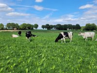 Strijd om de pot van 200 miljoen euro barst los
