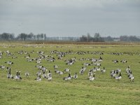 Honderden deelnemers rijden Trekker Elfstedentocht