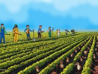 Agrarische grondprijs daalt 1 procent