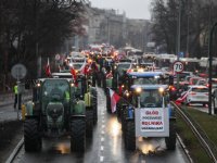 Glastuinbouw krijgt grootste tik van oorlog in Oekraïne