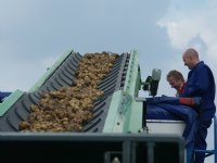 Nieuwe injectie voor water bufferen in Noord-Brabant