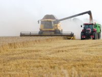 Boeren overleven droogte op eigen manier