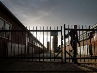 Inval bij adviesbureau vanwege mestfraude