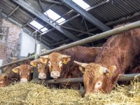 Halfjaar uitstel voor wettelijke verplichting gesloten vulsysteem