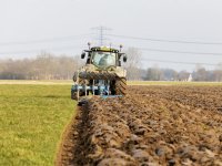 Plant zorgt voor meer plezier op het werk