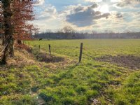 Dierenopvang opent landelijk wolvenmeldpunt