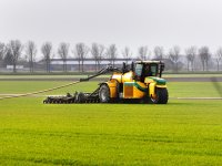 Jumbo volledig over op Beter Leven-kip