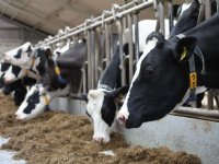 Rabobank: \'Onderzoek op tijd met uw bank oorzaak van tekort\'