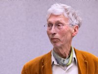 D66 vraagt handhaving coupeerverbod paarden