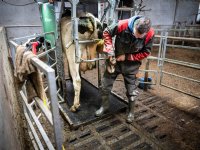 Strijd om de pot van 200 miljoen euro barst los