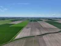 Sector brengt vitaliteit pootgoed in kaart