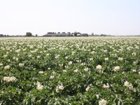 Voerwinstspiegel week 33