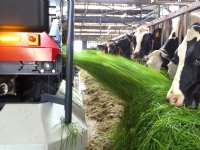 Utrechtse bloemensector verrast door provinciaal verbod op gewasbescherming