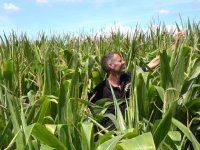 \'Als alles meezit, kunnen we hier eind mei vroege aardappelen rooien\'