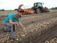 \'Als alles meezit, kunnen we hier eind mei vroege aardappelen rooien\'