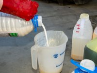 Tuinbouwcluster pakt grootste arbeidstekort aan